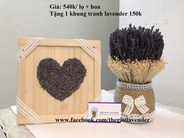 shop bán hoa lavender khô Pháp uy tín và thơm lâu