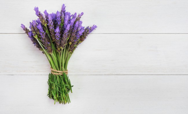 Những lợi ích tuyệt vời mà tinh dầu lavender đem lại cho tóc