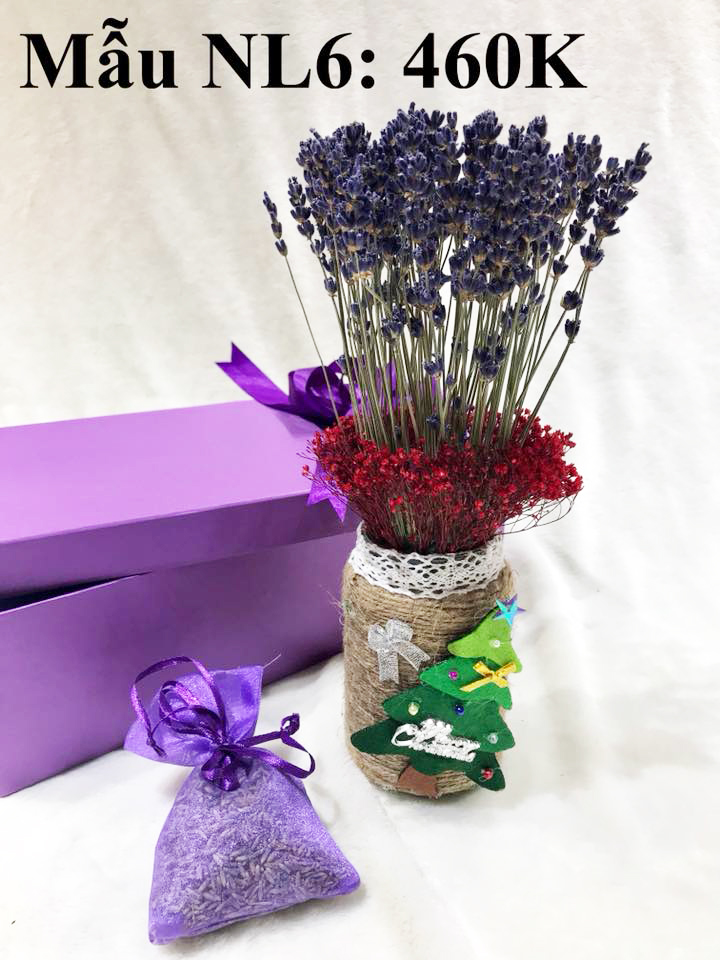 quà từ hoa khô lavender