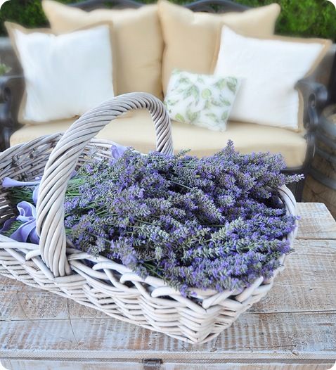 Sống nhẹ nhàng hơn với lọ hoa lavender khô tự cắm