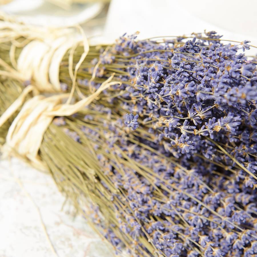 Làm gì khi hoa Lavender khô bị mốc hoặc phai màu?