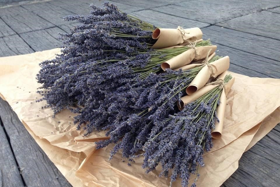 10 bước bó hoa Lavender khô theo phong cách cổ điển cho người vụng về