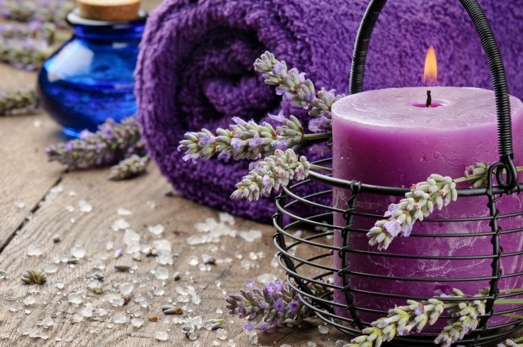 Bật mí những ý nghĩa tuyệt vời của loài hoa Lavender