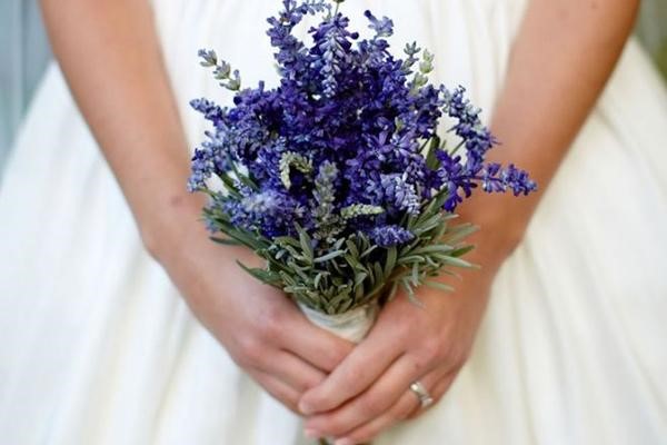 Cùng Thế giới Lavender chọn hoa cho ngày cưới