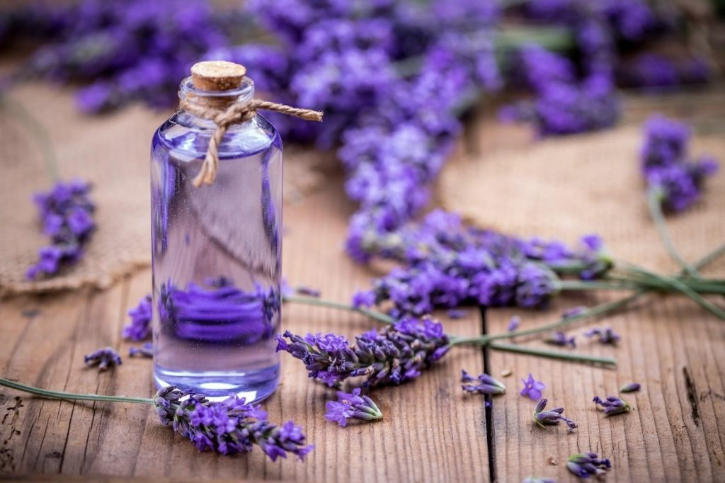 tinh dầu lavender﻿