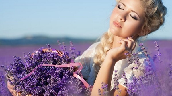 Thế giới Lavender và ba giá trị cốt lõi từ “tâm”