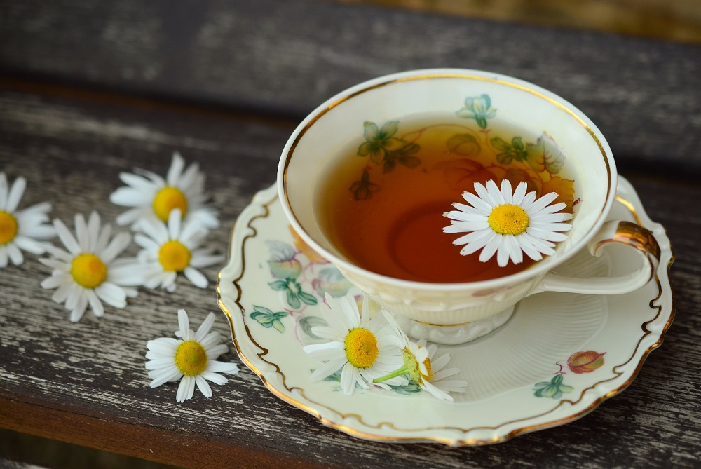 Cách pha trà hoa cúc đúng chuẩn vị nhất