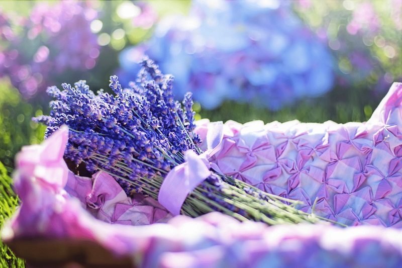 Hoa khô Lavender – Món quà tuyệt vời dành tặng cho một nửa yêu thương