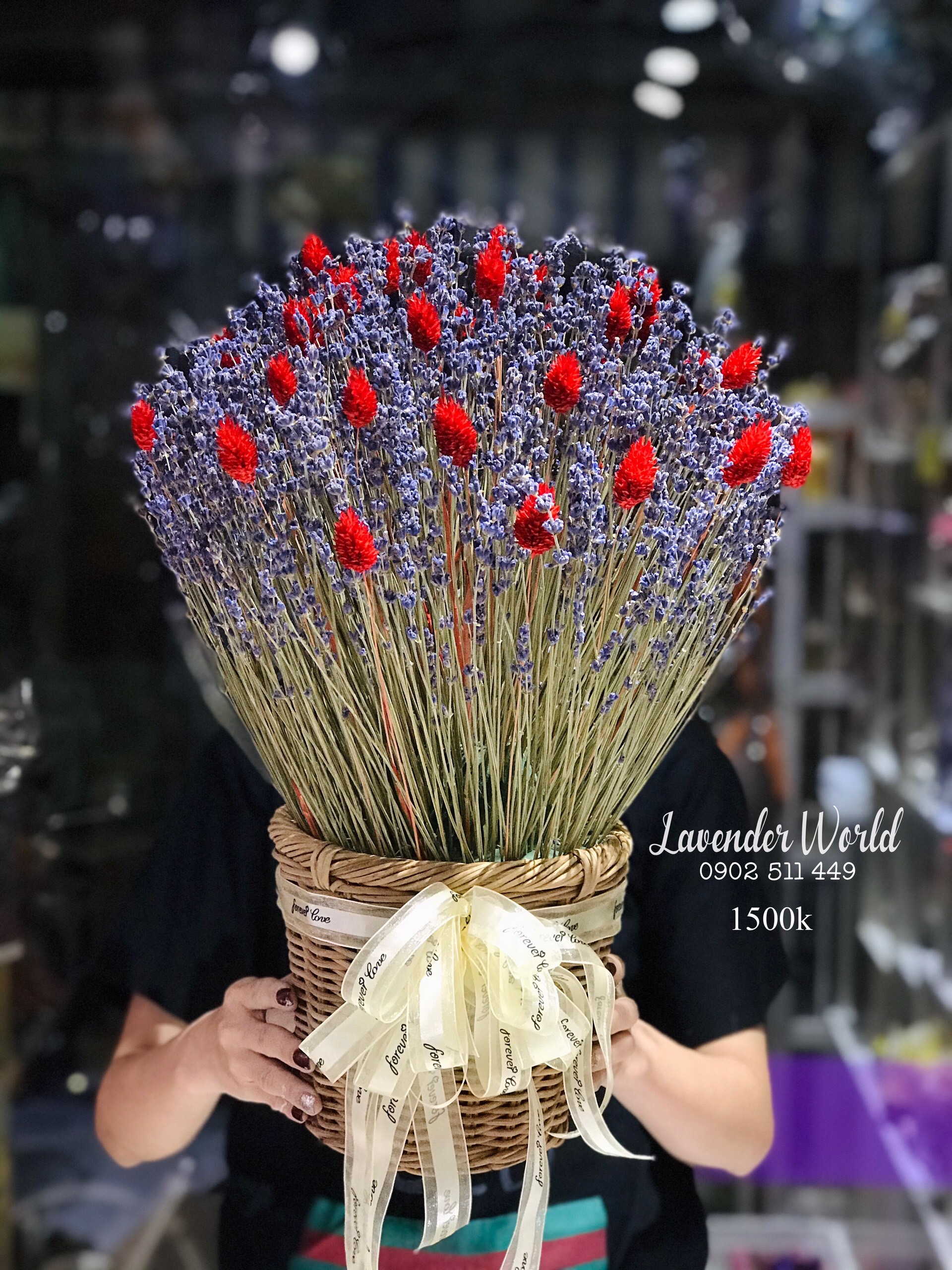 lang hoa lavender kho mix phalaris do size trung